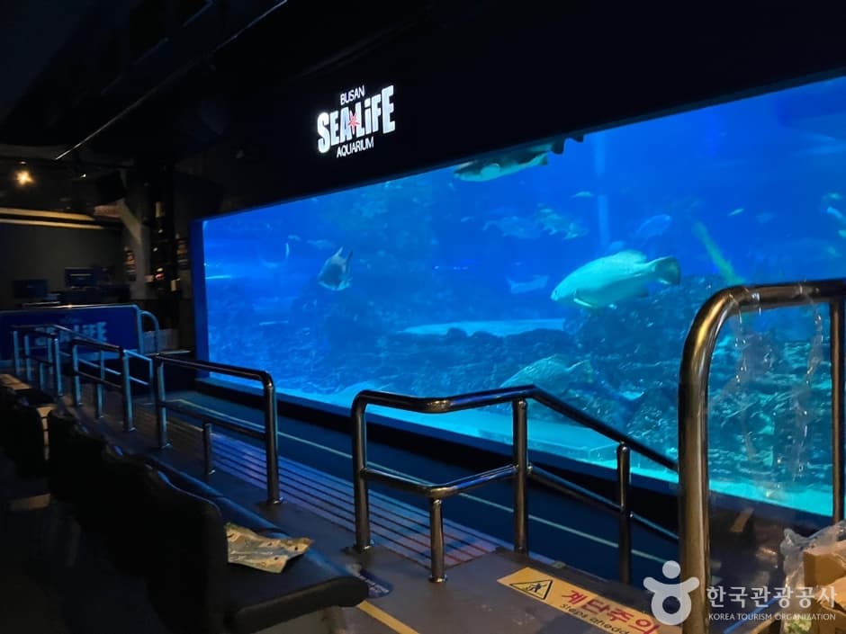 SEA LIFE Busan Aquarium (SEA LIFE 부산아쿠아리움)