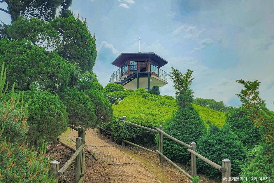 Beartree Park (베어트리파크)