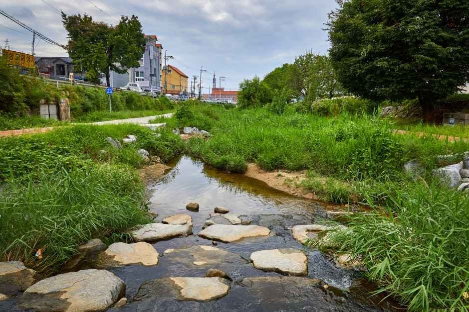 Yullyangcheon Stream (율량천)