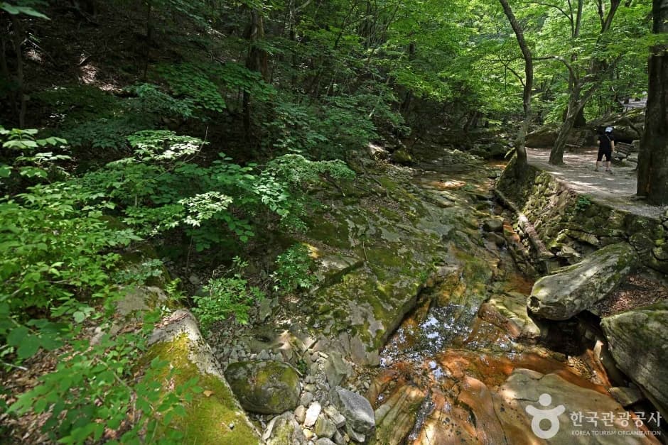 Donghaksagyegok Valley (동학사계곡)