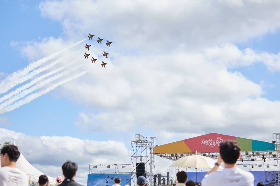 Sejong Festival (세종축제)