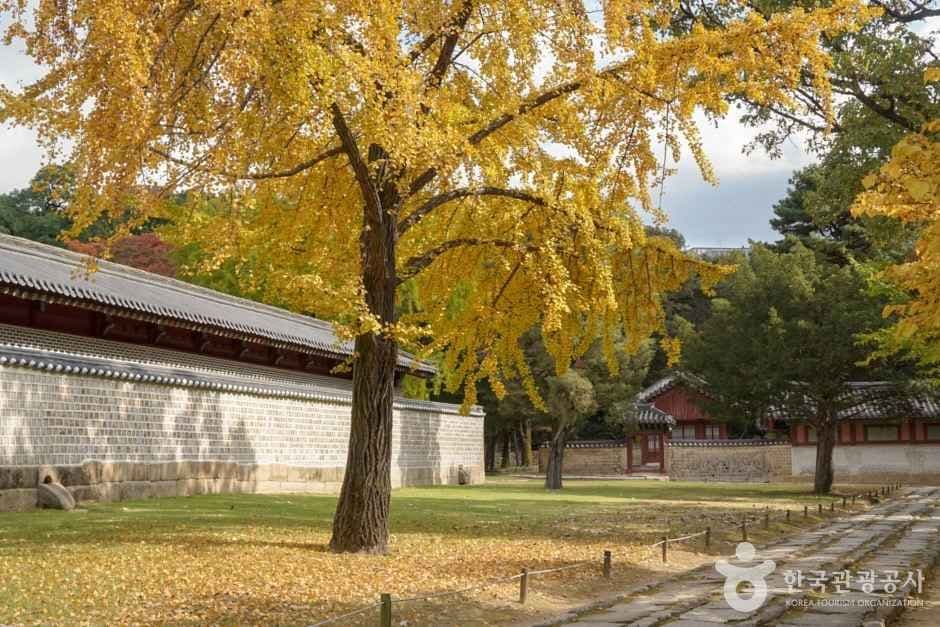 Jongmyo Shrine [UNESCO World Heritage] (종묘 [유네스코 세계유산])