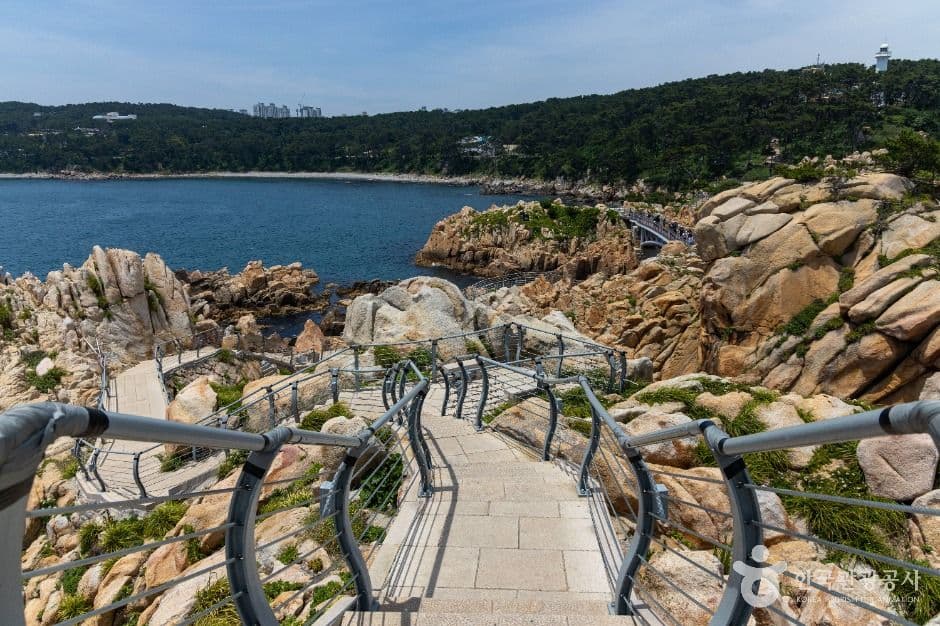 Daewangam Park (대왕암공원)