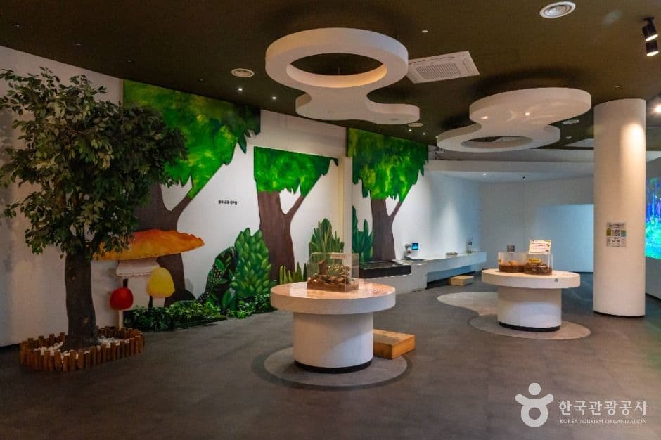 Chungju Ecology Experience Museum (충주자연생태체험관)