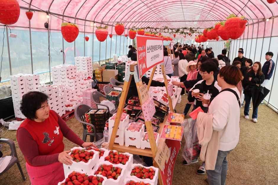 Nonsan Strawberry Festival (논산딸기축제)