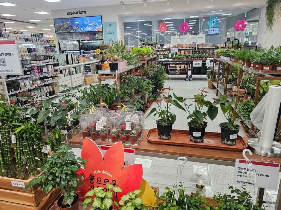 LOTTE Mart Ansan Branch [Tax Refund Shop](롯데마트 안산점)