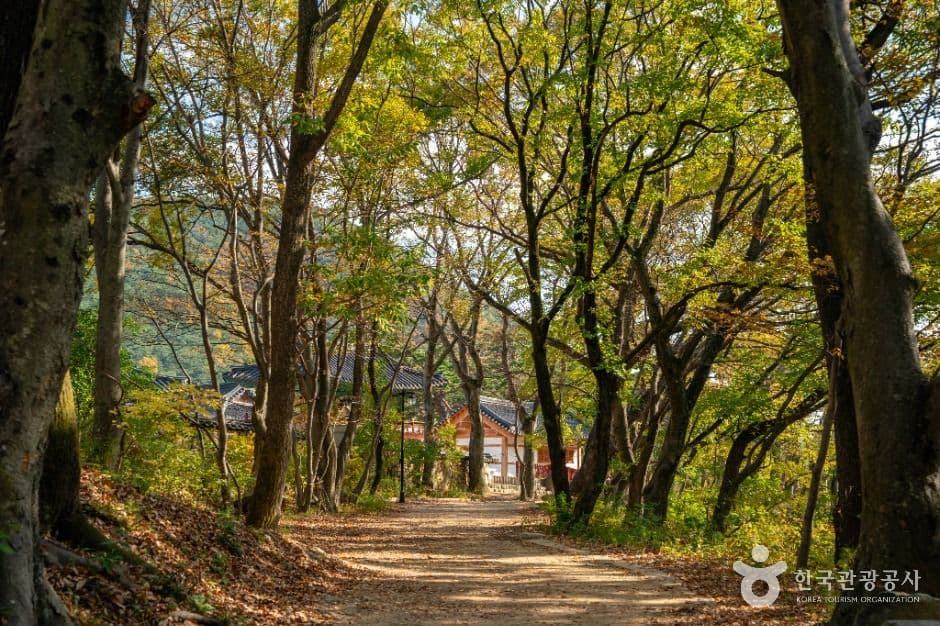 Bogyeongsa Temple (보경사)