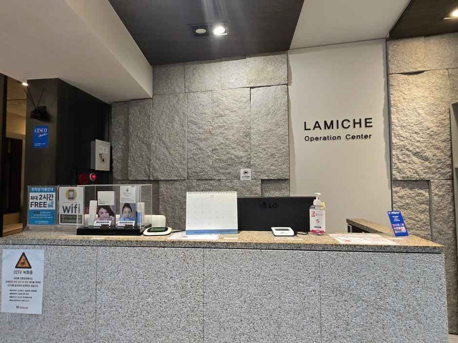 Lamiche Plastic Surgery [Tax Refund Shop] (라미체성형외과)