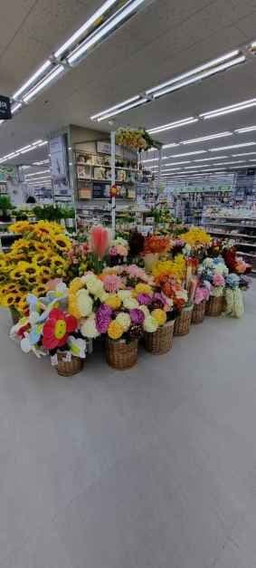 DAISO Bongcheon Main Branch[Tax Refund Shop](다이소 봉천본점)