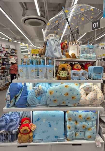 DAISO Yeongdeungpo Station Branch[Tax Refund Shop](다이소 영등포역점)