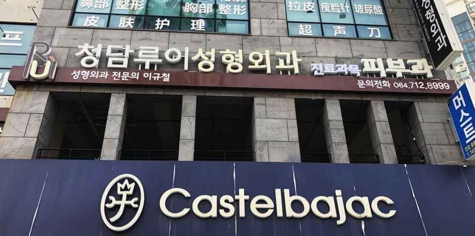 Cheongdam Rui Plastic Surgery Clinic [Tax Refund Shop](청담루이성형외과의원)