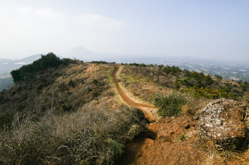 Gunsan Oreum Volcanic Cone (군산오름)