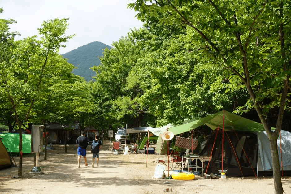 Unmunsan County Park (운문산군립공원)