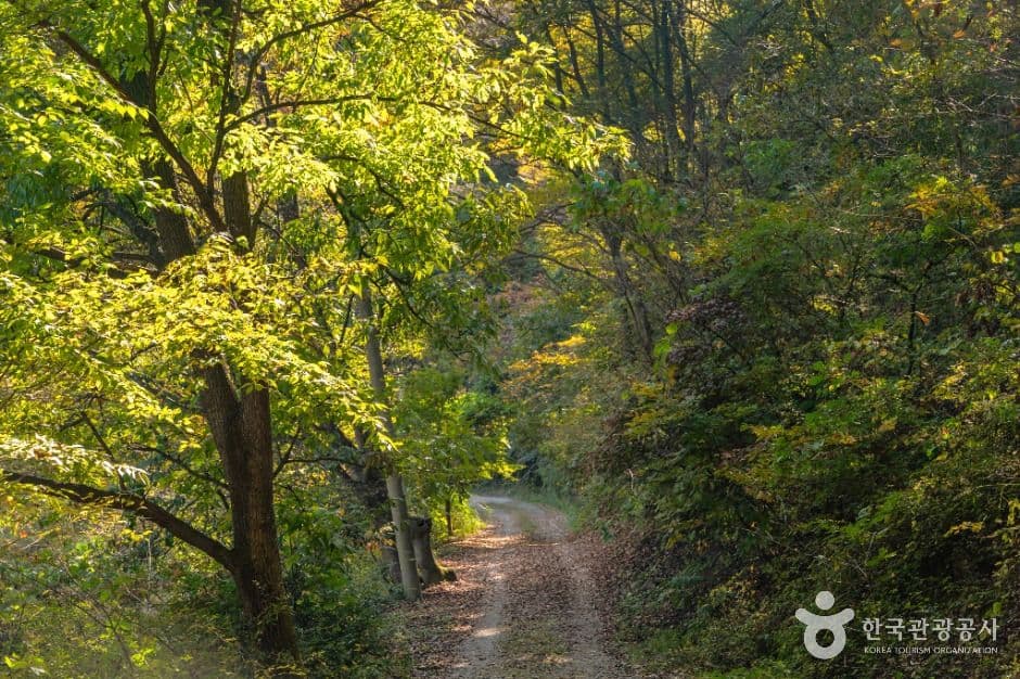 Jongdaengi Trail ([충주 풍경길] 종댕이길)