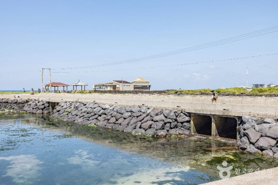 Jeju Olle Trail Route 20 (올레 20코스)