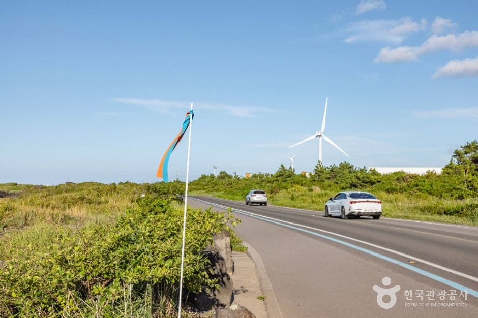 Jeju Olle Trail Route 20 (올레 20코스)