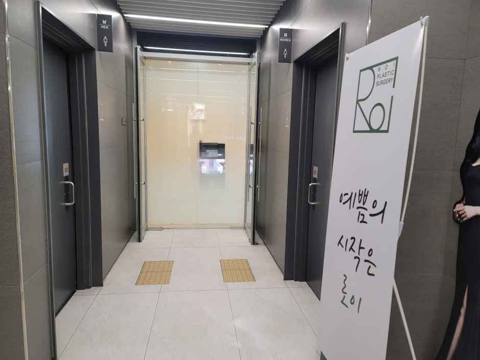 Roi Plastic Surgery Clinic [Tax Refund Shop](로이성형외과의원)