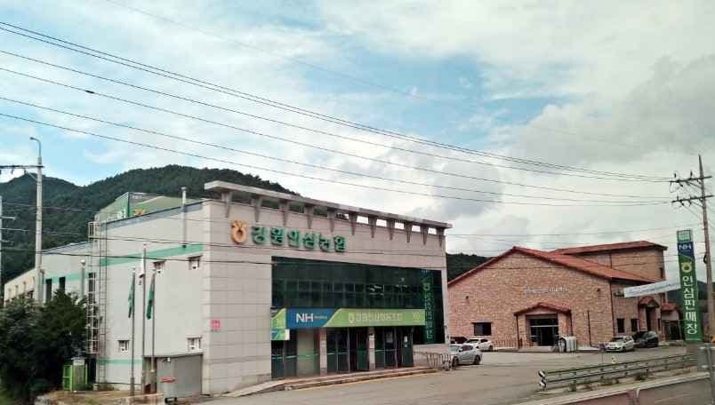 Gangwon Ginseng Nonghyup [Tax Refund Shop](강원인삼농협)
