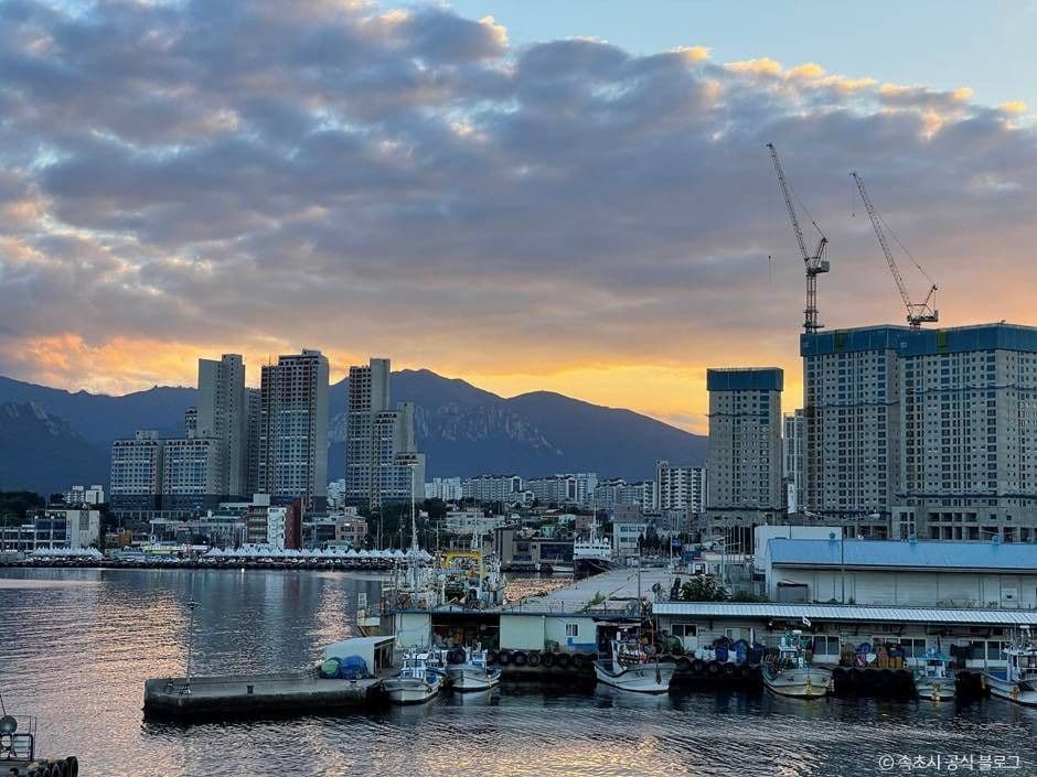 Dongmyeong Live Fish Center (동명활어센터)