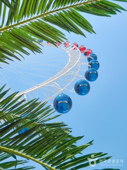 Sokcho Eye (속초해수욕장 대관람차(속초아이))