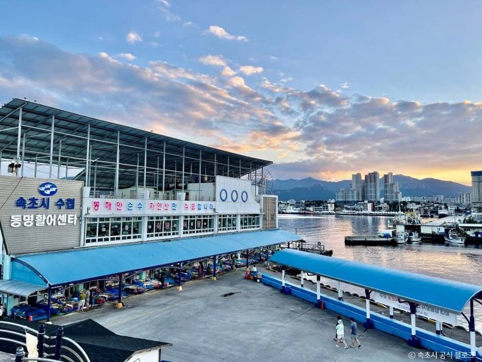 Dongmyeong Live Fish Center (동명활어센터)