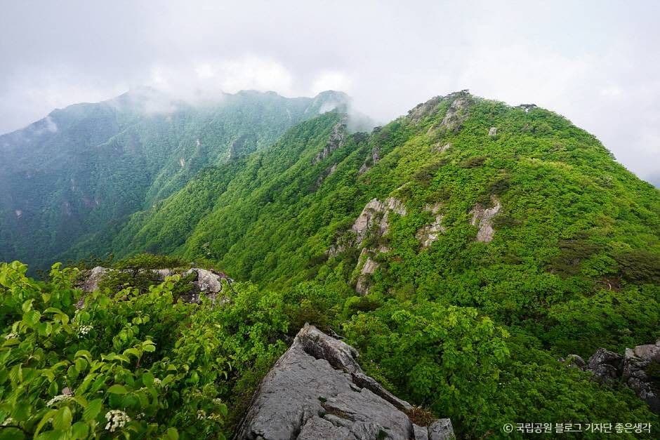 Gyeryongsan National Park (계룡산국립공원)