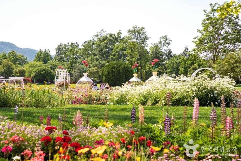 Suncheonman National Garden (순천만국가정원)