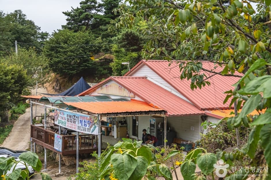 Maljae Farm (말재 농원)