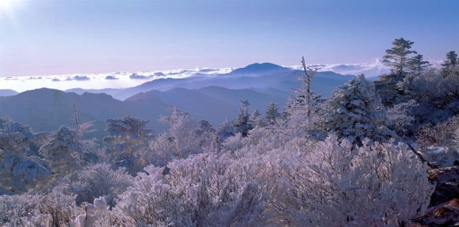 Jirisan National Park (Sancheong) (지리산국립공원(산청))