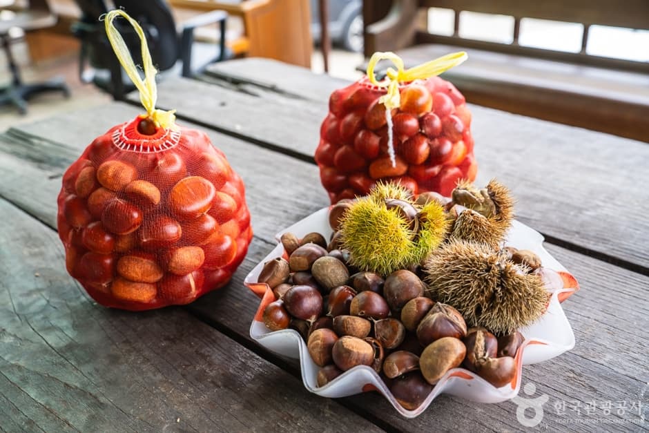 Maljae Farm (말재 농원)