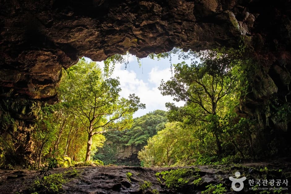 Seongeup Green Tea Cave (성읍녹차동굴)