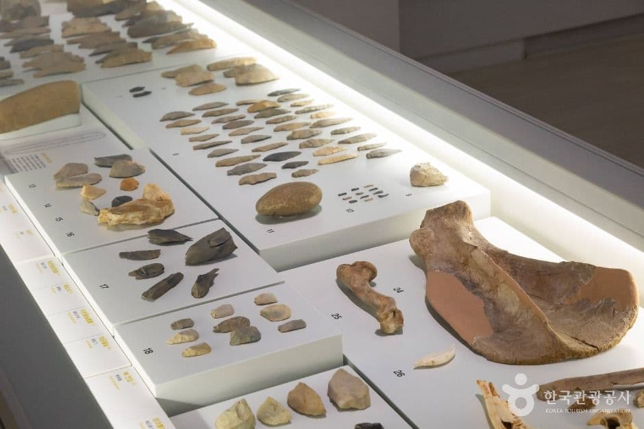 Cheongju National Museum (국립청주박물관)