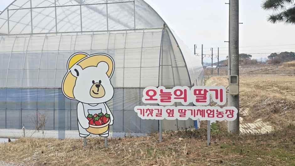 Onurui Ttalgi (Today's Strawberry) (오늘의 딸기)