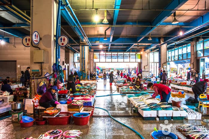 Jukdo Market (죽도시장)