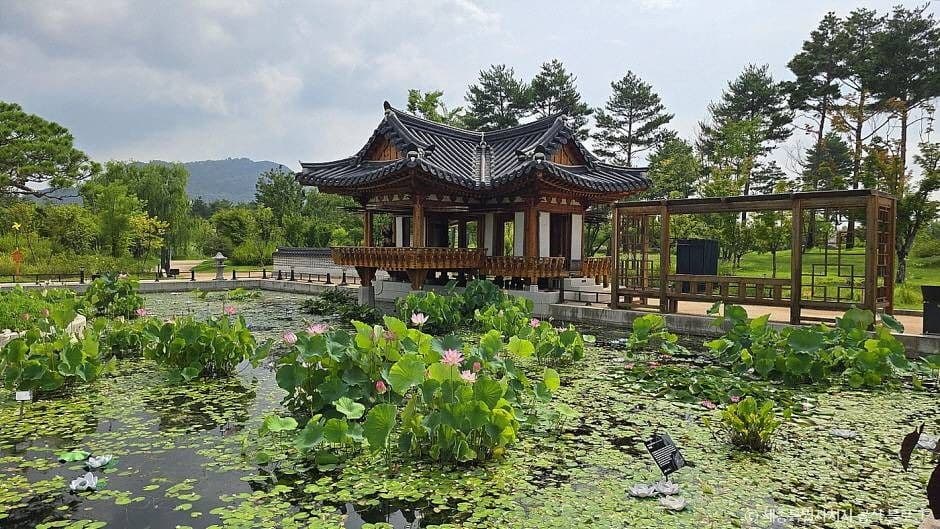 Sejong National Arboretum (국립세종수목원)