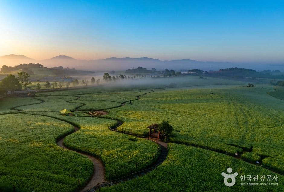 Borinara Hagwon Farm (보리나라 학원농장)