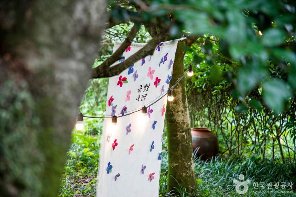 Camellia Hill (카멜리아힐)