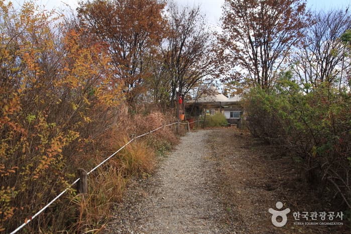 Godeok-dong Ecological Landscape Conservation Area (고덕동 생태경관 보전지역)