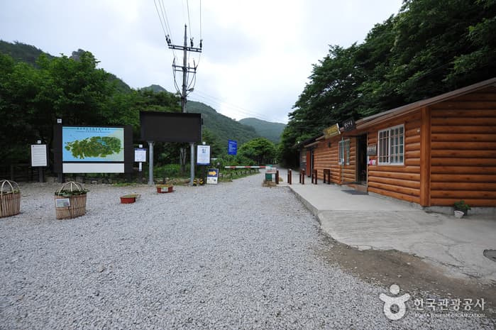 Naebyeonsan Mountain (내변산)