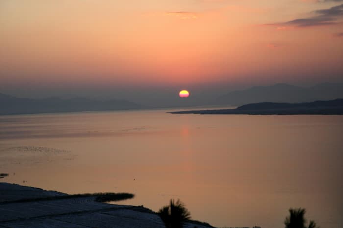 Yeongamho Lake (migratory bird habitat) (영암호 - 철새도래지)