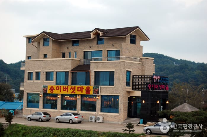Songibeoseot Maeul (송이버섯마을)