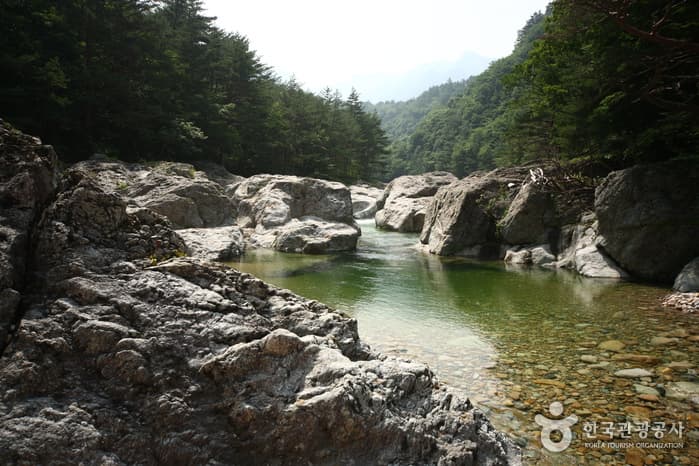 Baekdamgyegok Valley (백담계곡)