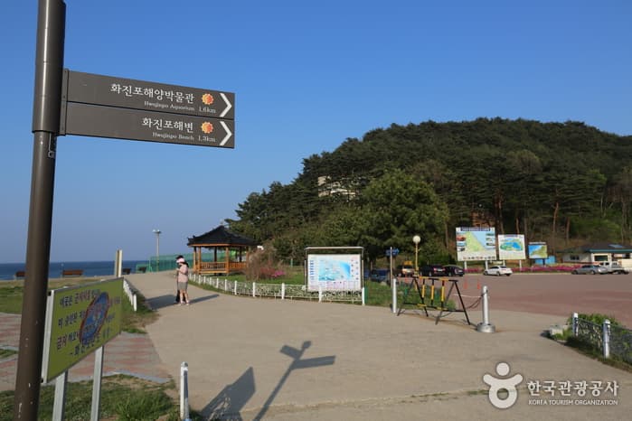 Hwajinpo Lake (화진포(화진포호))