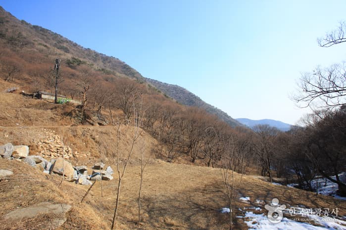 Surisan Provincial Park (수리산도립공원)