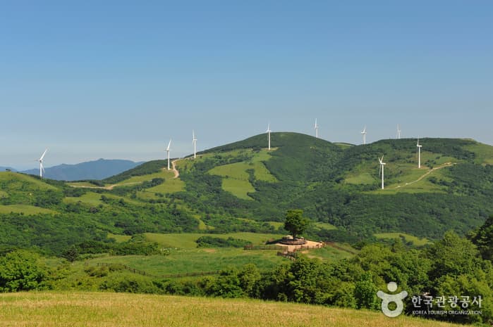 Daegwallyeong Special Tourist Zone (대관령 관광특구)