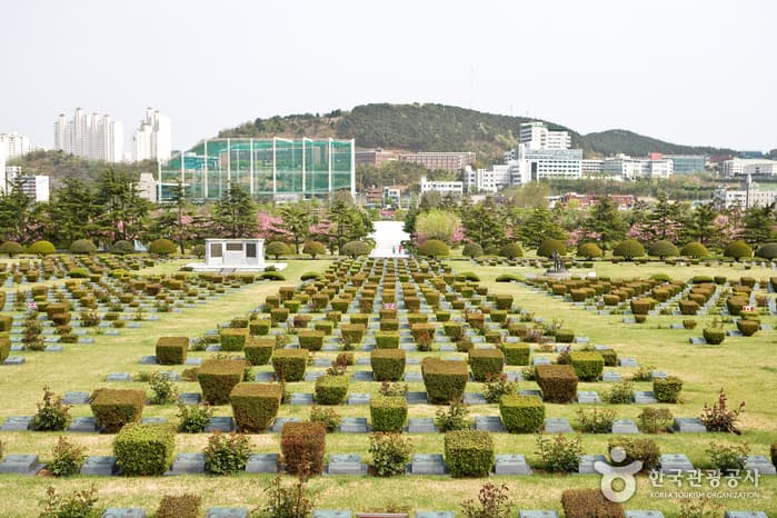 UN Memorial Cemetery (재한유엔기념공원 (UN기념공원))