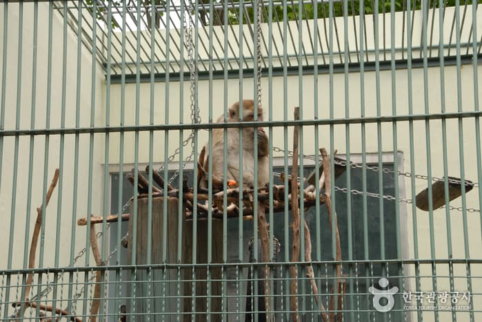 Cheongju Zoo (청주동물원)