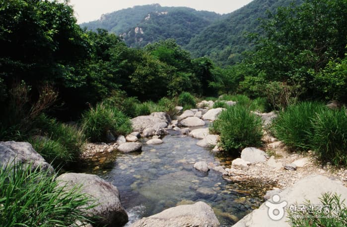 Sanasagyegok Valley (사나사계곡)