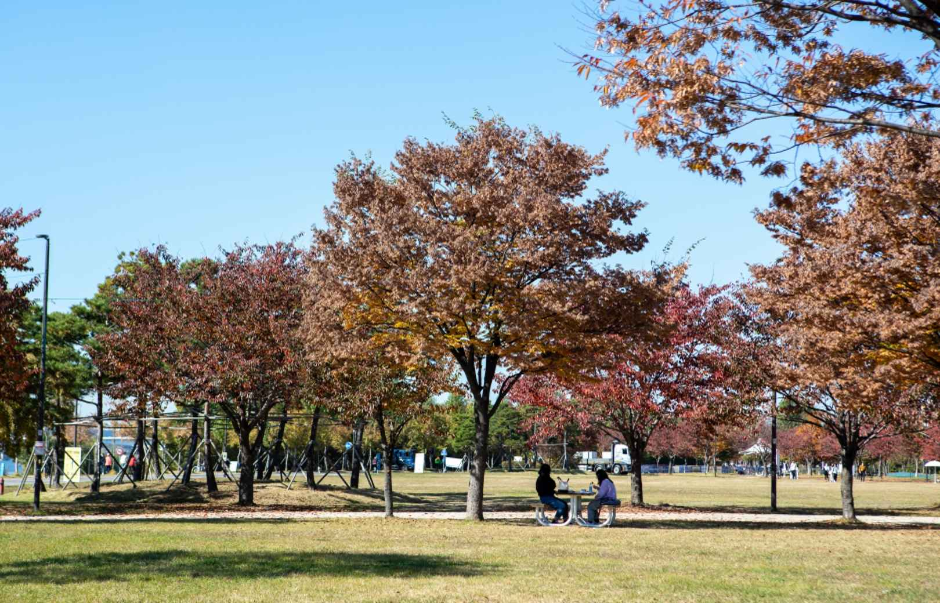 Nanji Hangang Park (난지한강공원)