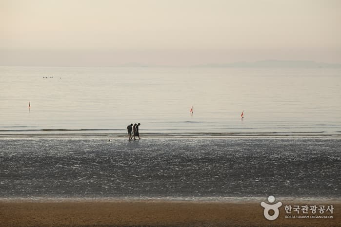 Chunjangdae Beach (춘장대해수욕장)